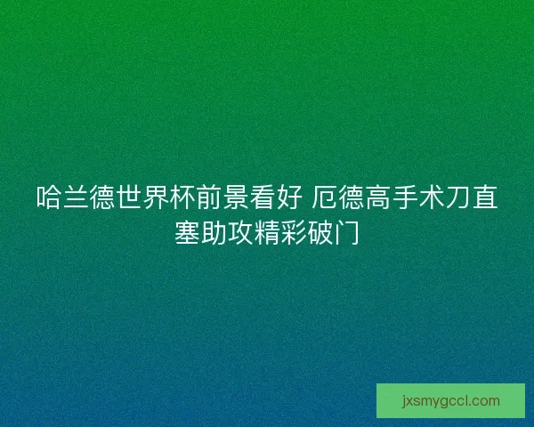 哈兰德世界杯前景看好 厄德高手术刀直塞助攻精彩破门