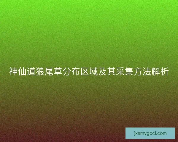 神仙道狼尾草分布区域及其采集方法解析