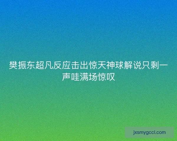 樊振东超凡反应击出惊天神球解说只剩一声哇满场惊叹