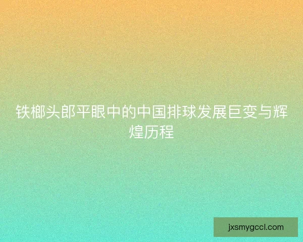 铁榔头郎平眼中的中国排球发展巨变与辉煌历程 铁榔头郎平眼中的中国排球发展巨变与辉煌历程